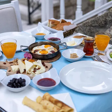 Hotel Erendira - Special Category