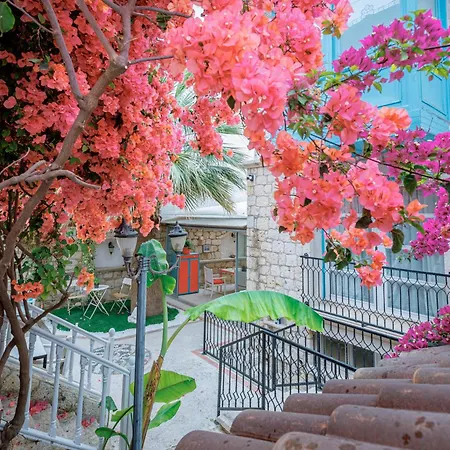 מלון Erendira - Special Category 2*