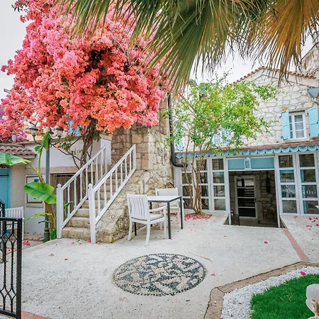 Erendira - Special Category 2* אלאקאטי