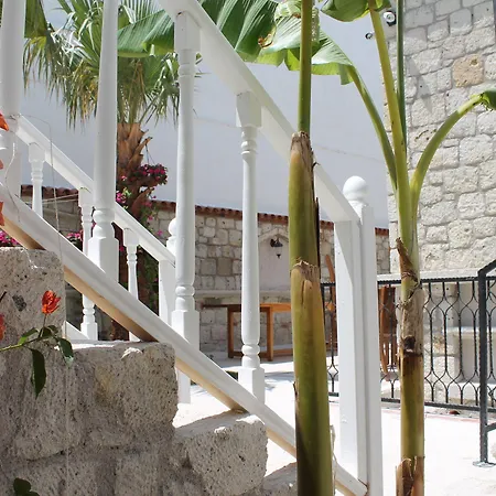 Erendira - Special Category 2* アラカティ