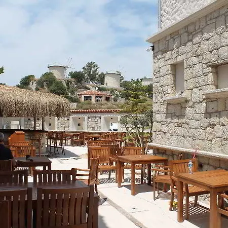 Hotel Erendira - Special Category
