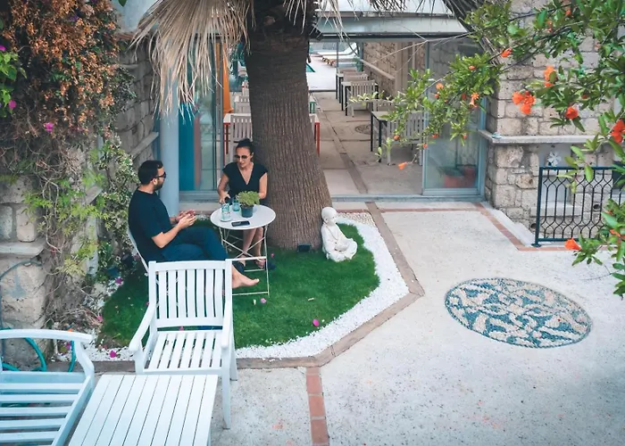 Erendira - Special Category