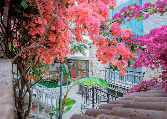 Hotel Erendira - Special Category 2*