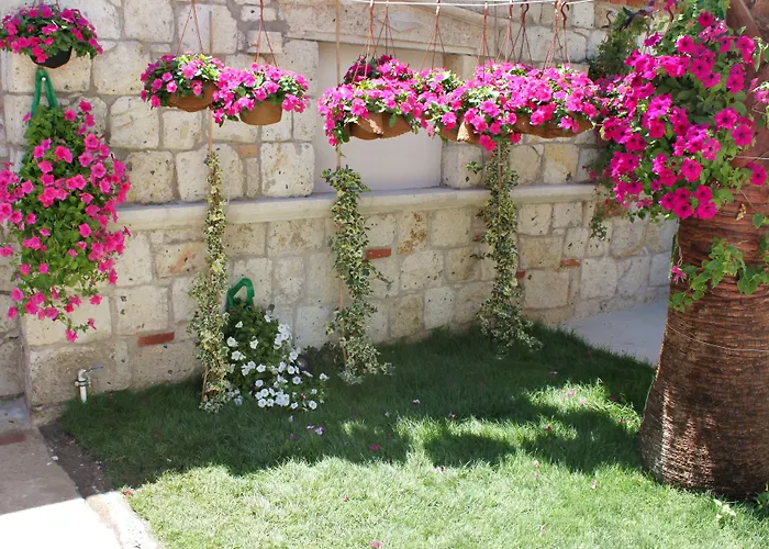 Erendira - Special Category 2* Alacati