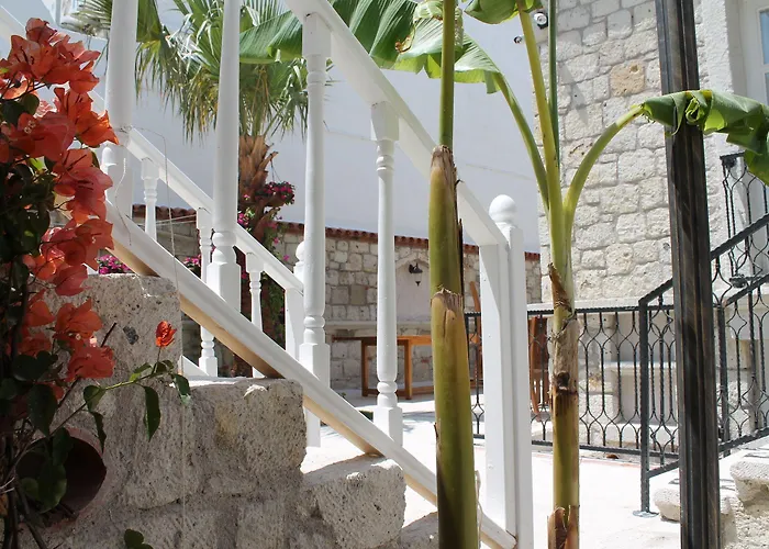 Erendira - Special Category 2* Alaçatı