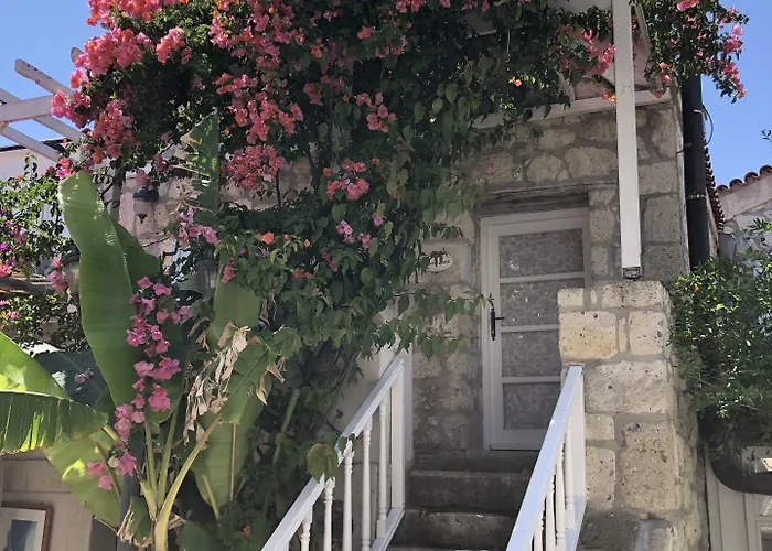 Erendira - Special Category Alacati