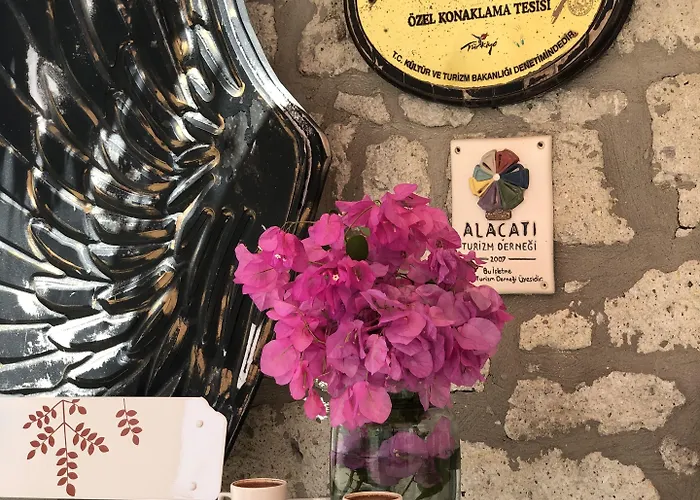 Hotel Erendira - Special Category 2*