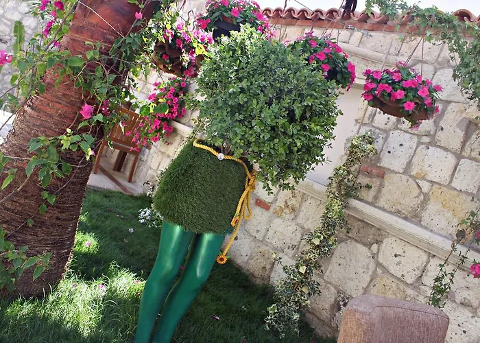 Erendira - Special Category Hotel 2*