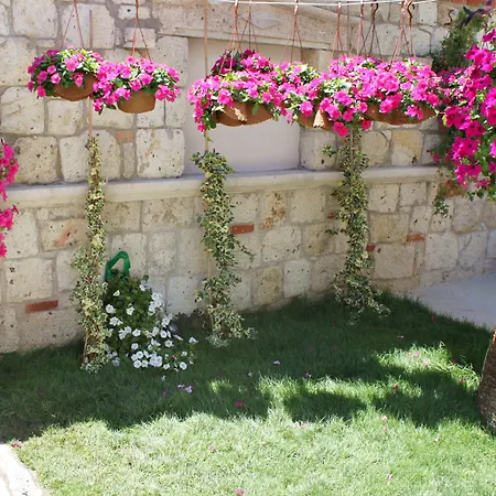 Erendira - Special Category 2* Alacati