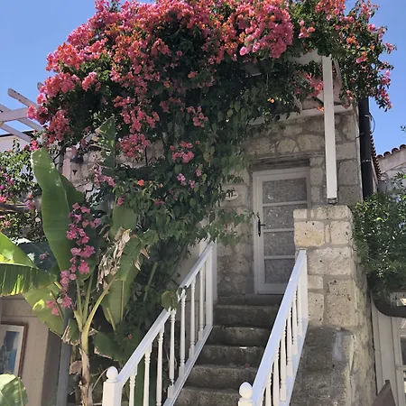 Erendira - Special Category Alaçatı