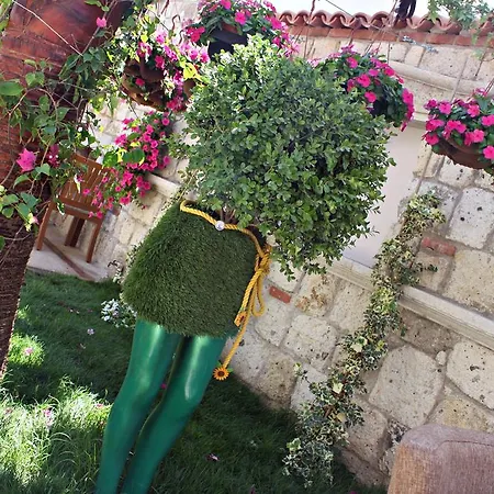 Erendira - Special Category Ξενοδοχείο 2*