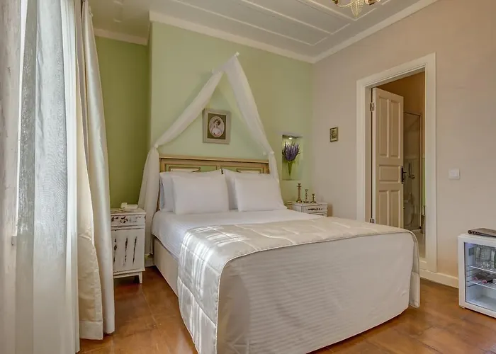 Erendira - Special Category 2*