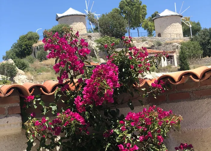 Erendira - Special Category Отель 2*